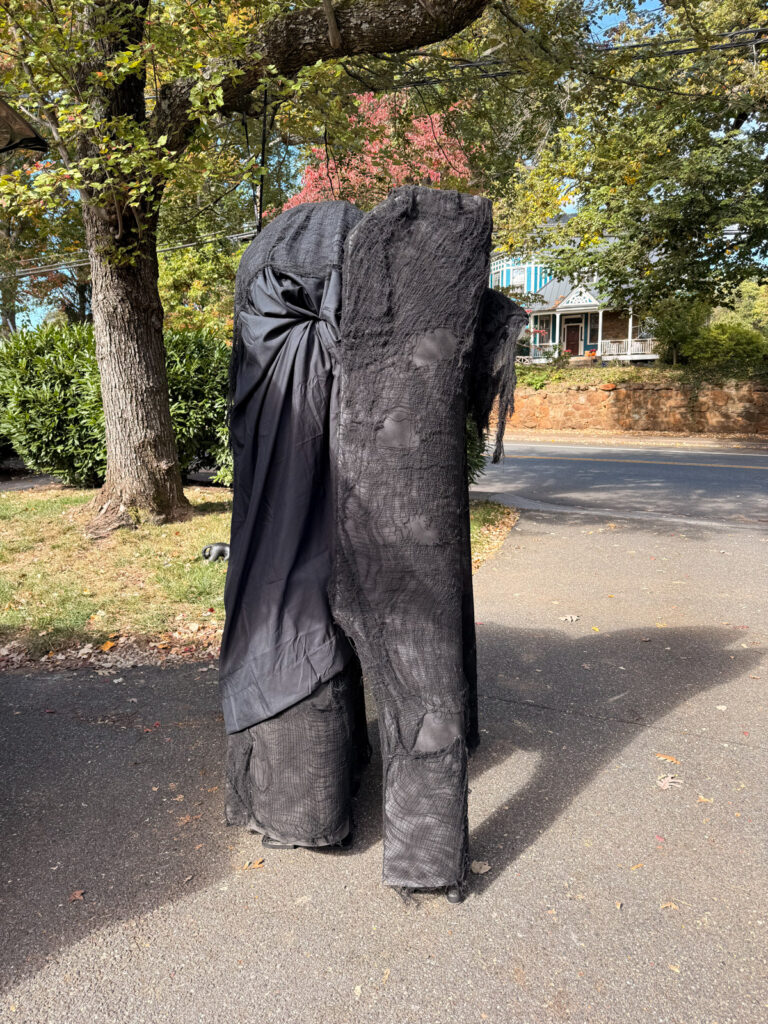 Halloween costume Mazen Halloween 2025 costume Mazen