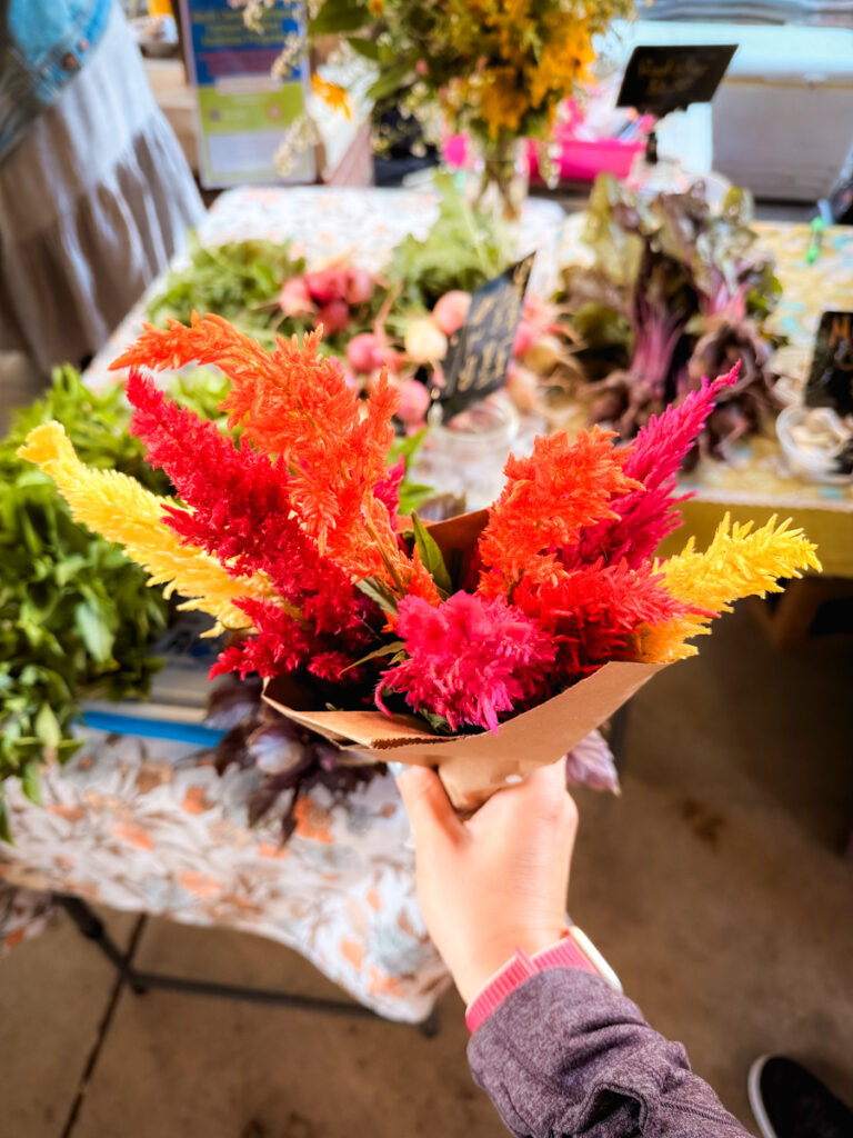 farmer's market finds farmer's market | Artsy In Hillsborough