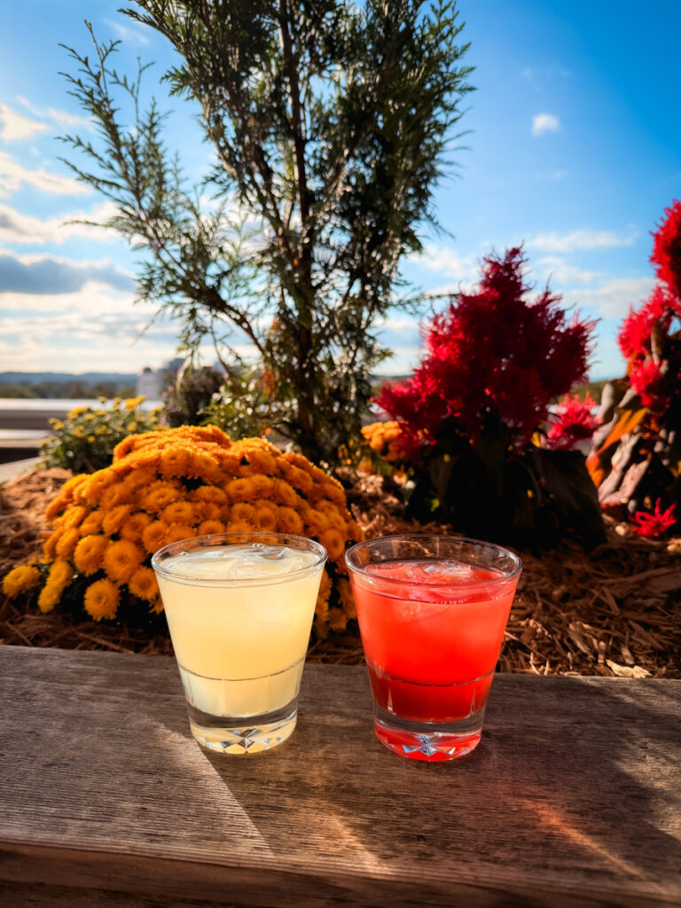 cocktails on the roof cocktails on the roof | Octo Means Eight