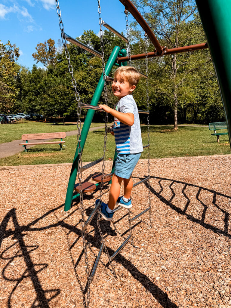 Birch playground Birch playground