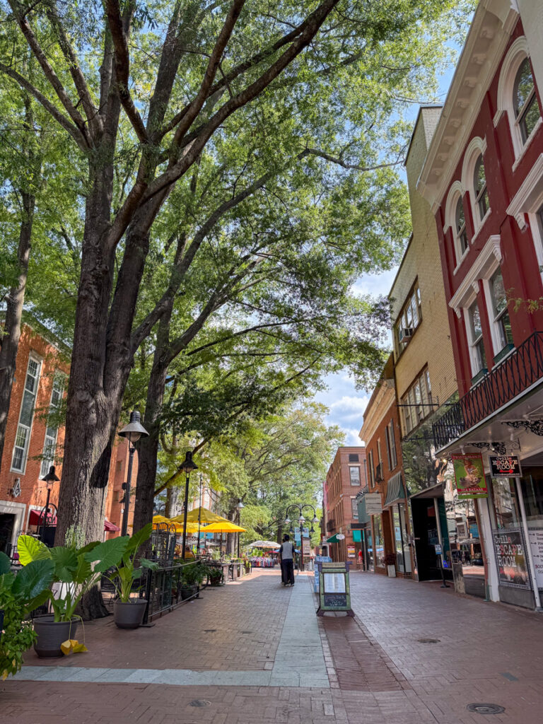 Downtown Charlottesville Downtown Charlottesville Guide