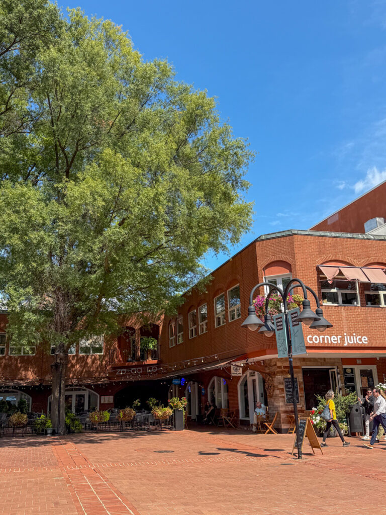 What To Do In Downtown Charlottesville What To Do In Downtown Charlottesville