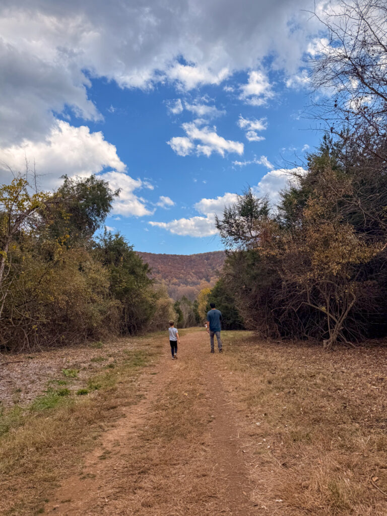 Biscuit Run Hike Biscuit Run Hike | Make Like A Tree And Leave