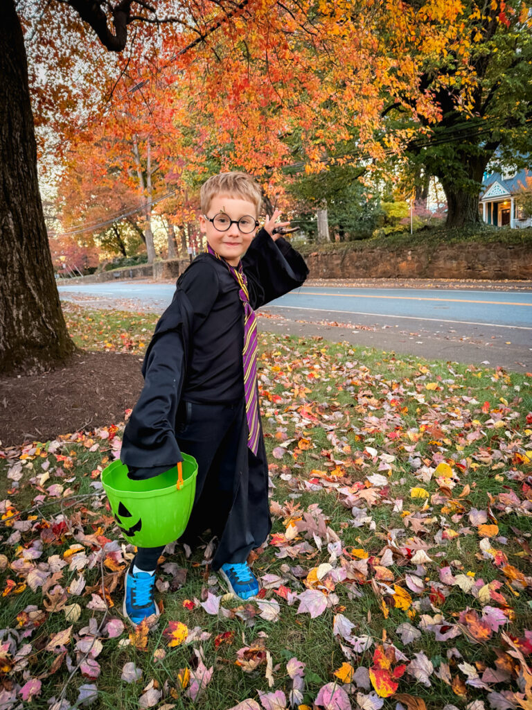 Birch Harry Potter trick or treat Birch Harry Potter trick or treat